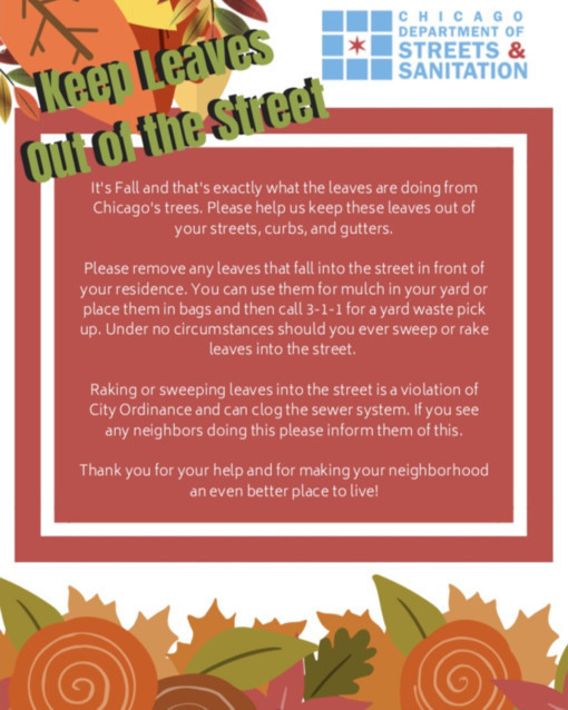Keep leaves out of the street brochure