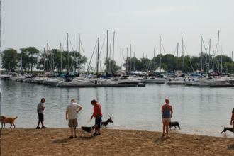 2014 - Belmont Harbor Dog Beach